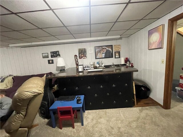 1211 N 6th St, Hiawatha, KS 66434 - indoor wet bar with a drop ceiling, carpet, baseboards, and wooden walls