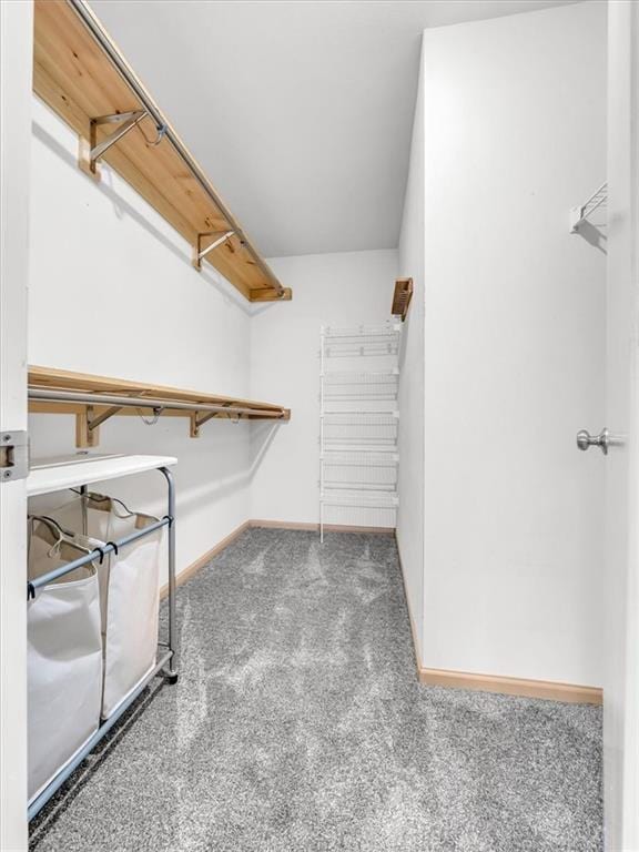 1151 N Mart-Way Dr Unit 103, Olathe, KS 66061 - spacious closet with carpet flooring