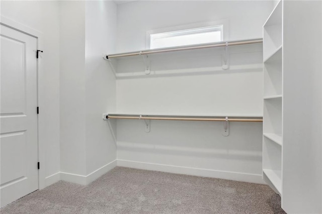 12425 NW Empress St, Platte City, MO 64079 - spacious closet with carpet