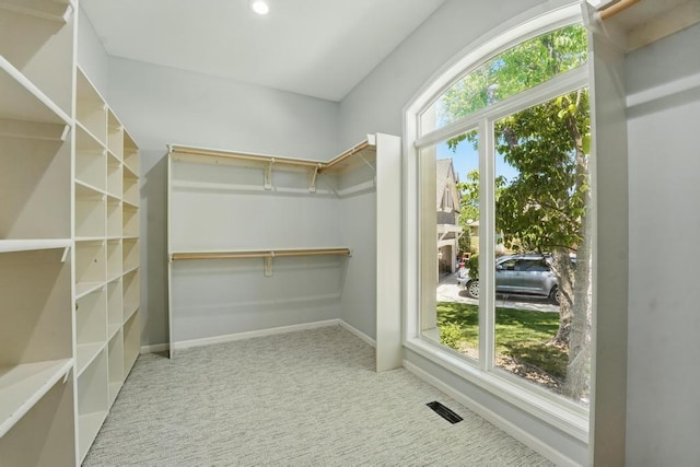 165 NE Hidden Ridge Ln, Lees Summit, MO 64064 - spacious closet with carpet