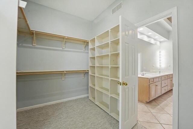 165 NE Hidden Ridge Ln, Lees Summit, MO 64064 - spacious closet featuring a sink