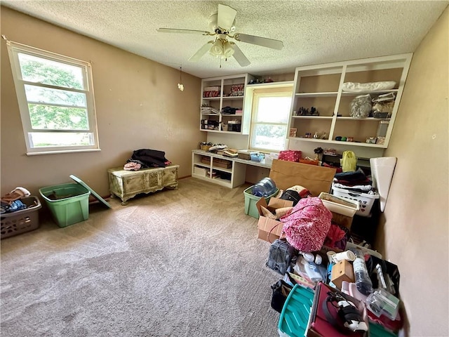 450 SW 725th Rd, Chilhowee, MO 64733 - recreation room with a textured ceiling, carpet flooring, and a ceiling fan