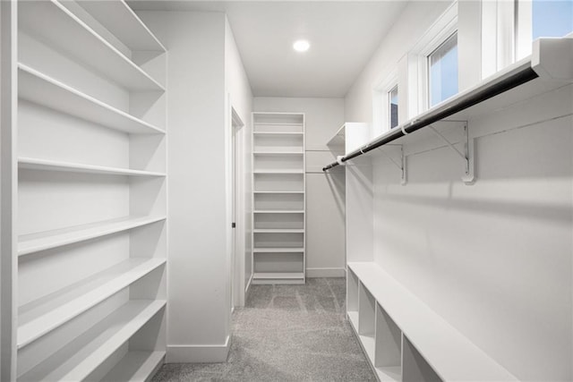 8316 NW 90th St, Kansas City, MO 64153 - spacious closet with carpet