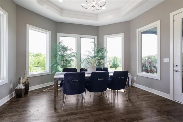 8605 NE Shl Creek Pkwy, Kansas City, MO 64157 - dining space with a raised ceiling, a chandelier, dark wood finished floors, and baseboards
