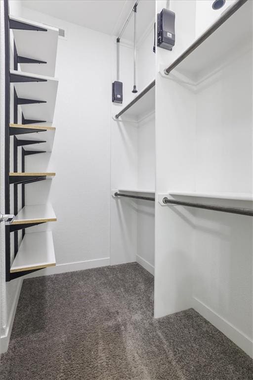 8605 NE Shl Creek Pkwy, Kansas City, MO 64157 - spacious closet featuring carpet