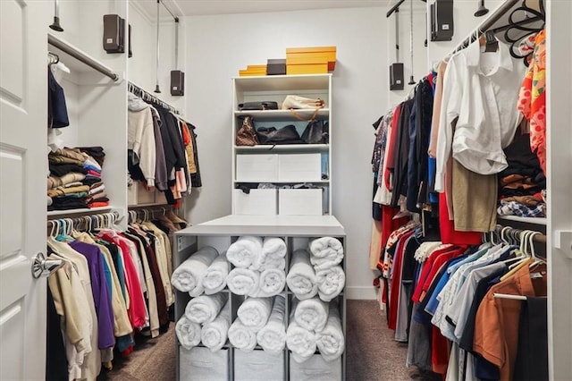 8605 NE Shl Creek Pkwy, Kansas City, MO 64157 - walk in closet featuring carpet flooring