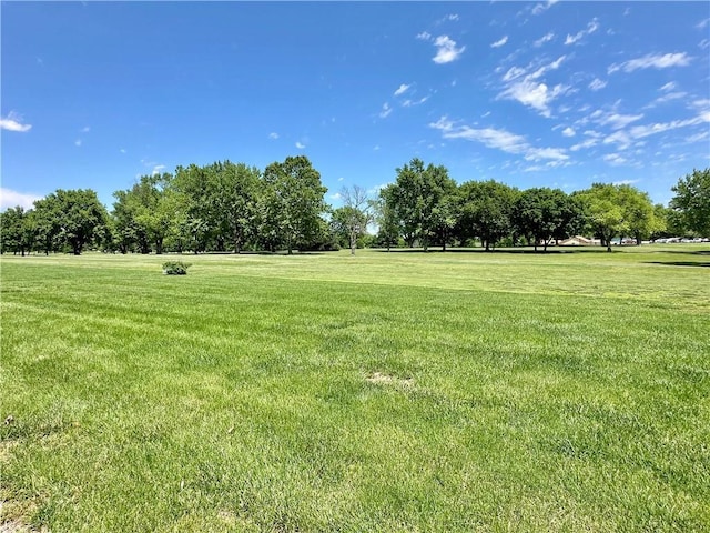 917 Country Club Dr, Butler, MO 64730 - view of grassy yard