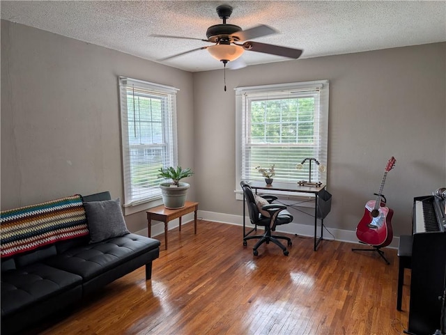 117 W N St, Warrensburg, MO 64093 - office featuring plenty of natural light, wood finished floors, a ceiling fan, a textured ceiling, and baseboards