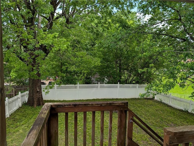 117 W N St, Warrensburg, MO 64093 - view of yard