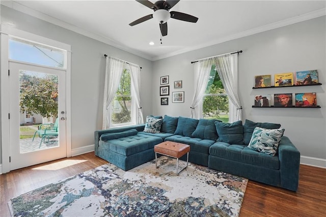 906 E Piankishaw St, Paola, KS 66071 - living area featuring ornamental molding, plenty of natural light, wood finished floors, ceiling fan, and baseboards