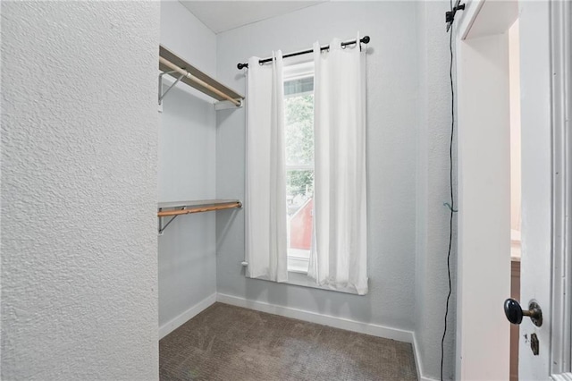 906 E Piankishaw St, Paola, KS 66071 - walk in closet featuring carpet floors