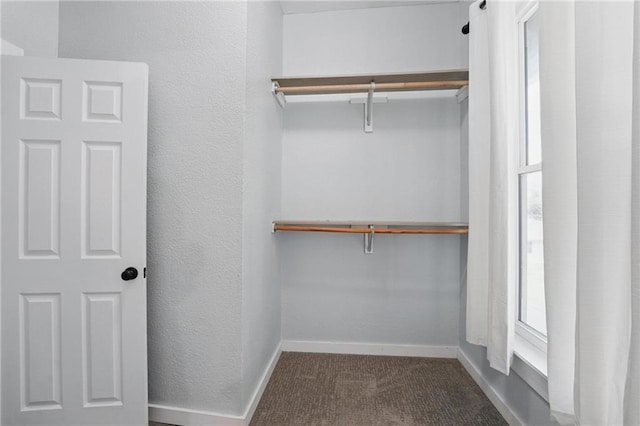906 E Piankishaw St, Paola, KS 66071 - walk in closet featuring carpet floors