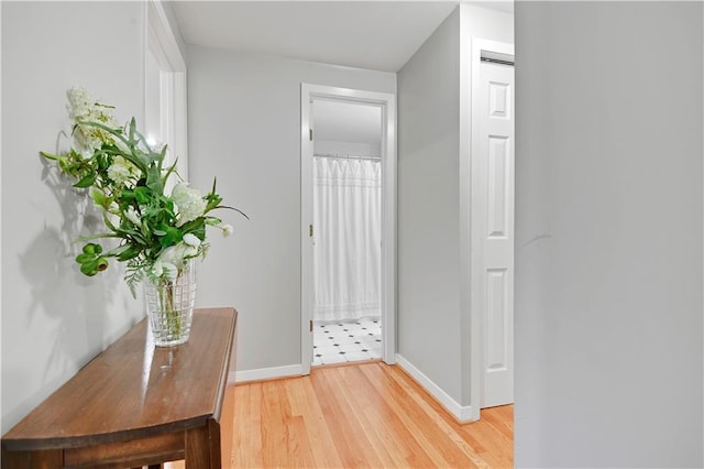 6016 W 85th St, Overland Park, KS 66207 - corridor with light wood-style flooring and baseboards