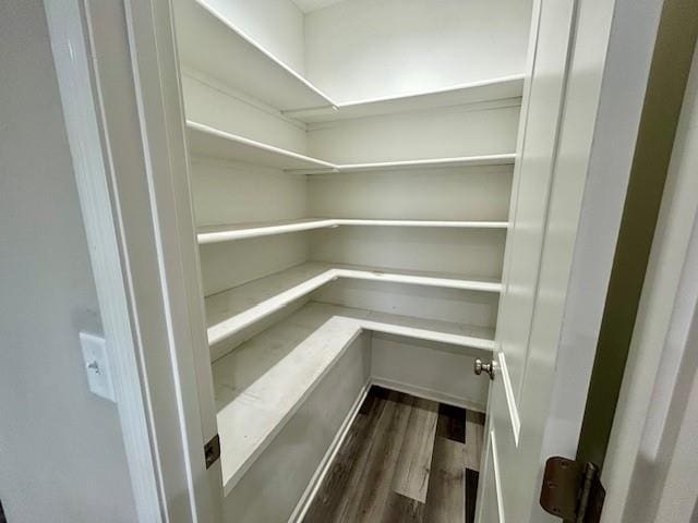 10204 Siena Dr, Peculiar, MO 64078 - view of pantry