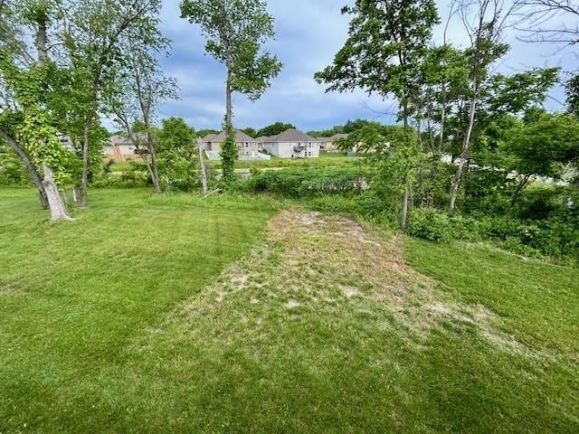 10204 Siena Dr, Peculiar, MO 64078 - view of green lawn