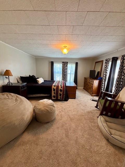 217 5th St, Burlington, KS 66839 - carpeted bedroom featuring crown molding