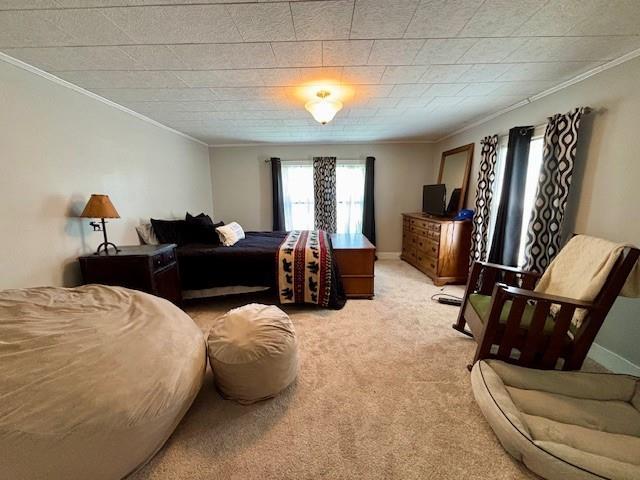 217 5th St, Burlington, KS 66839 - bedroom with crown molding and light colored carpet