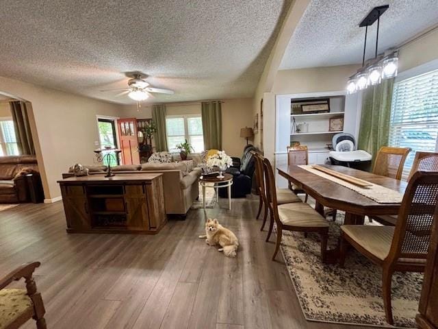 217 5th St, Burlington, KS 66839 - dining area featuring a textured ceiling, healthy amount of natural light, ceiling fan, and wood finished floors