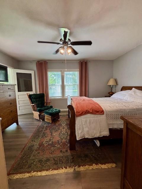 217 5th St, Burlington, KS 66839 - bedroom with wood finished floors and ceiling fan