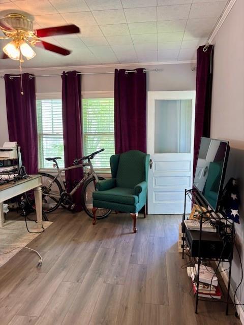 217 5th St, Burlington, KS 66839 - living area with ornamental molding, ceiling fan, and wood finished floors