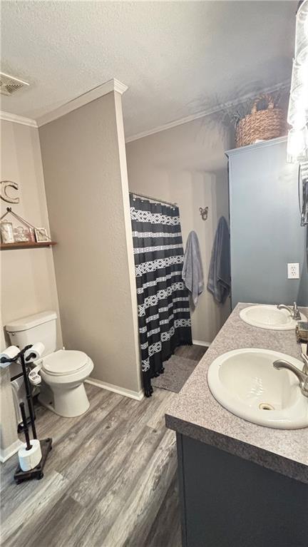 69 Porcupine Path, Linn Valley, KS 66040 - full bath featuring wood finished floors, toilet, double vanity, ornamental molding, and a textured ceiling