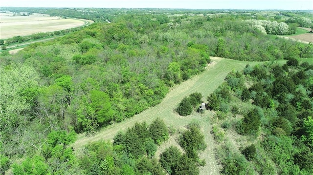 17795 K Hwy, Saint Joseph, MO 64505 - aerial view of property's location with rural landscape
