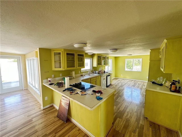 17795 K Hwy, Saint Joseph, MO 64505 - kitchen featuring a textured ceiling, black electric stovetop, wood finished floors, and a peninsula