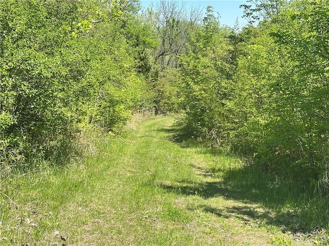 17795 K Hwy, Saint Joseph, MO 64505 - view of wooded area