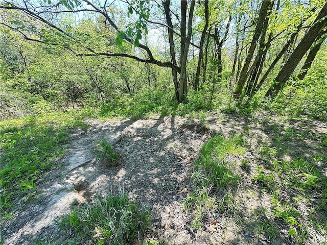 17795 K Hwy, Saint Joseph, MO 64505 - view of woods