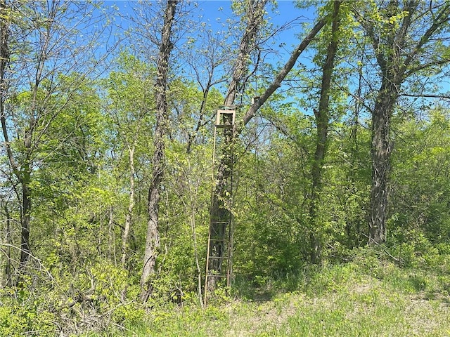 17795 K Hwy, Saint Joseph, MO 64505 - view of woods