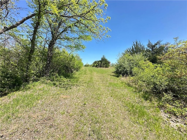 17795 K Hwy, Saint Joseph, MO 64505 - view of local wilderness