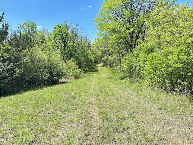 17795 K Hwy, Saint Joseph, MO 64505 - view of wooded area