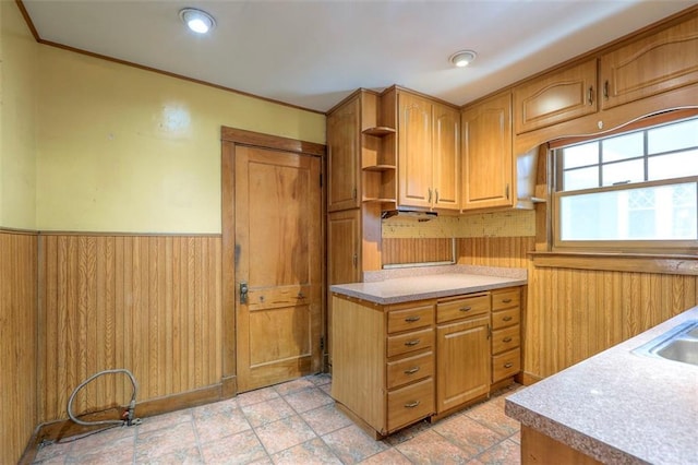 12 W 57th Ter, Kansas City, MO 64113 - kitchen with a wainscoted wall, open shelves, light countertops, wood walls, and ornamental molding