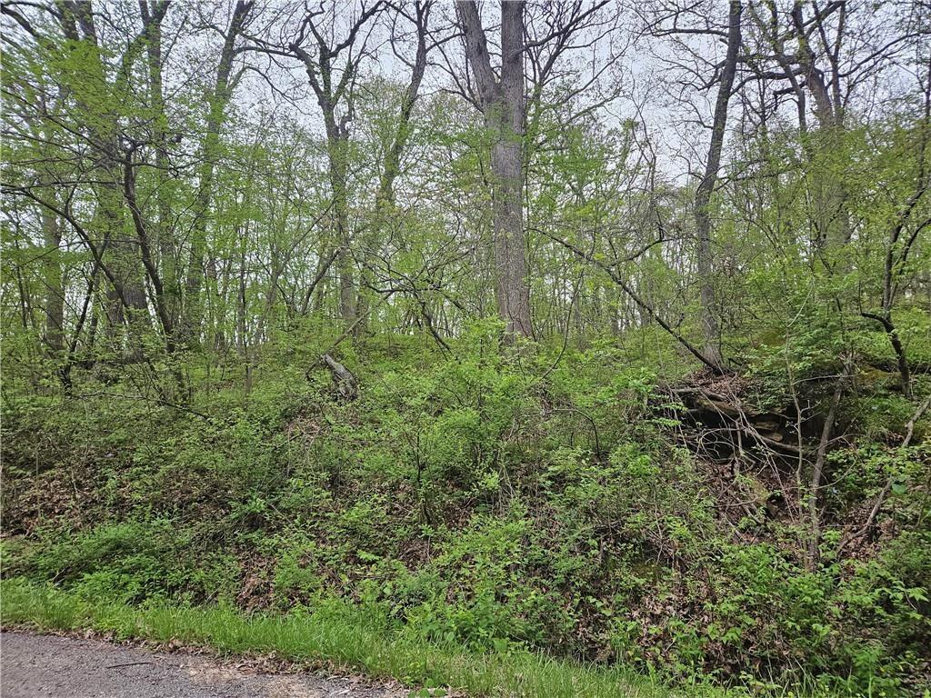 Park Ln, Oak Grove, MO 64075