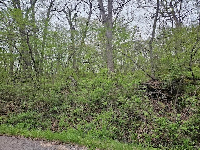 Park Ln, Oak Grove, MO 64075