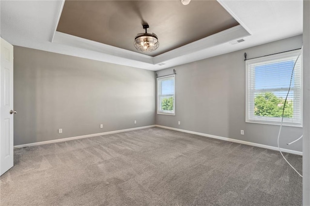 4528 N 108th St, Kansas City, KS 66109 - spare room with a raised ceiling, carpet floors, and baseboards
