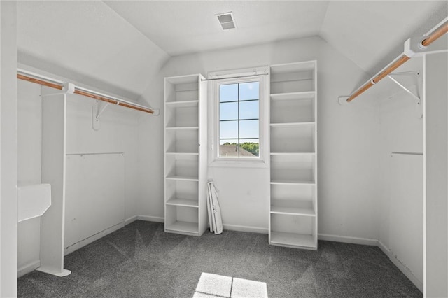 4528 N 108th St, Kansas City, KS 66109 - spacious closet featuring vaulted ceiling and carpet floors