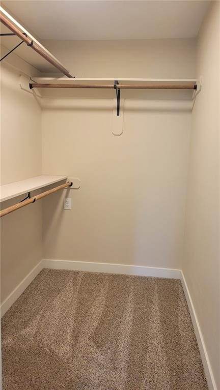 208 W Marshall St, Mayview, MO 64071 - walk in closet featuring carpet
