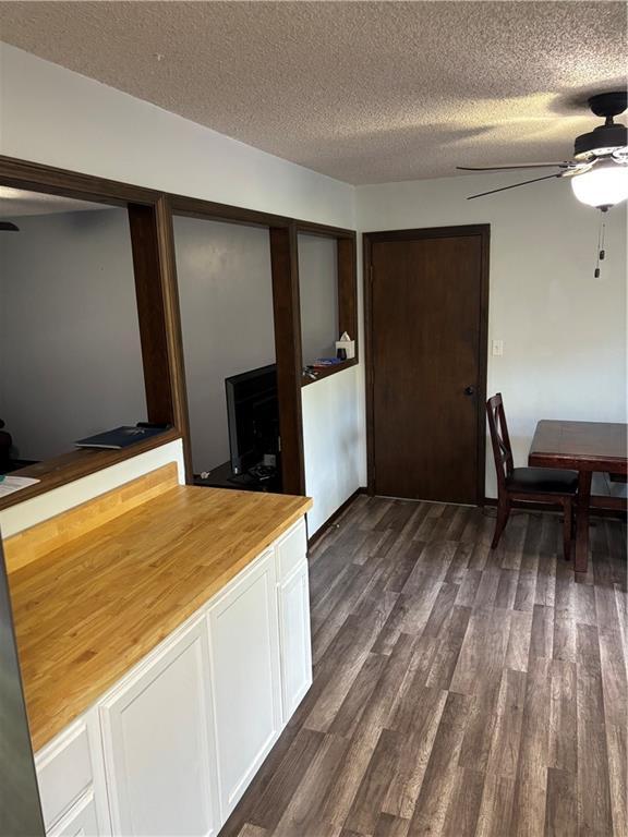 1015 S Elm St, Ottawa, KS 66067 - kitchen with ceiling fan, dark wood-style floors, a textured ceiling, wood counters, and white cabinetry