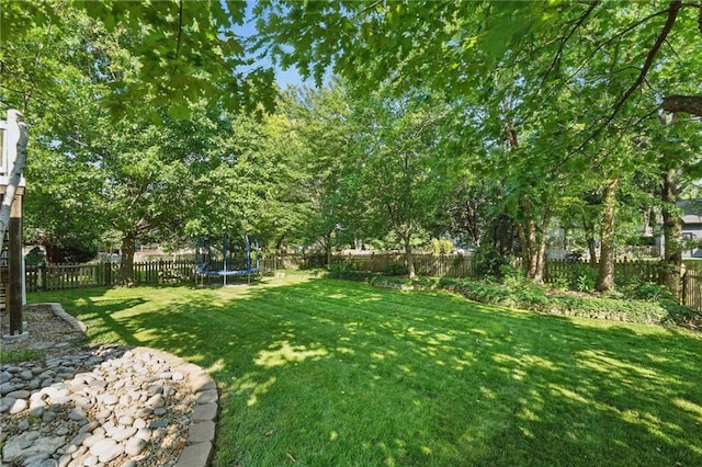7407 W 145th Ter, Overland Park, KS 66223 - view of yard with a trampoline