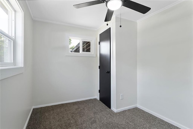 3705 N Walrond Ave, Kansas City, MO 64117 - photo 11