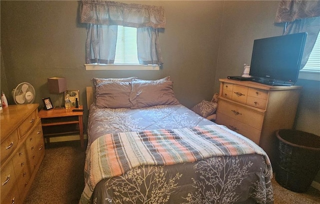 1003 W 3rd St, Pittsburg, KS 66762 - view of carpeted bedroom