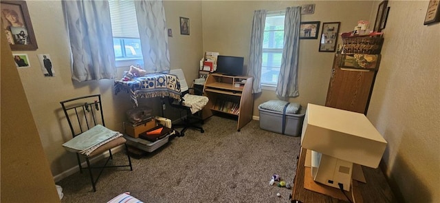 1003 W 3rd St, Pittsburg, KS 66762 - view of carpeted bedroom