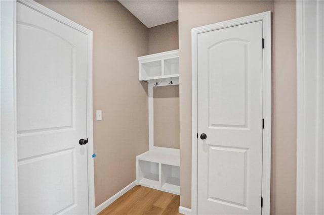 12513 S White Ash Ln, Lees Summit, MO 64086 - mudroom with light wood-type flooring and baseboards