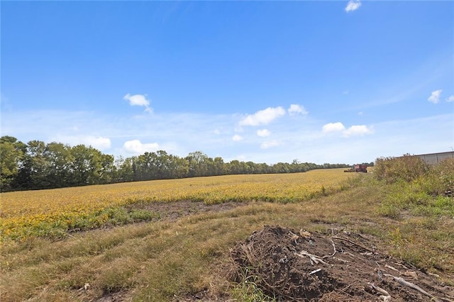 411 E 203rd St, Belton, MO 64012 - view of local wilderness featuring rural landscape