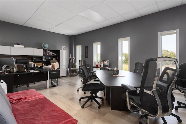 411 E 203rd St, Belton, MO 64012 - office area featuring a drop ceiling and light wood-style floors