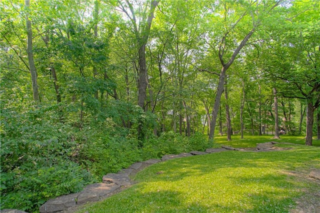 601 NW 41st St, Kansas City, MO 64116 - view of grassy yard with a wooded view