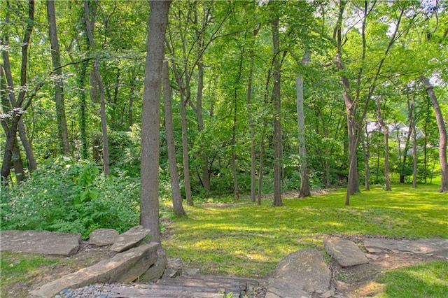 601 NW 41st St, Kansas City, MO 64116 - view of green lawn with a wooded view