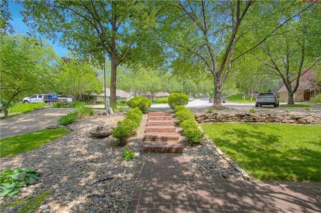 601 NW 41st St, Kansas City, MO 64116 - view of yard