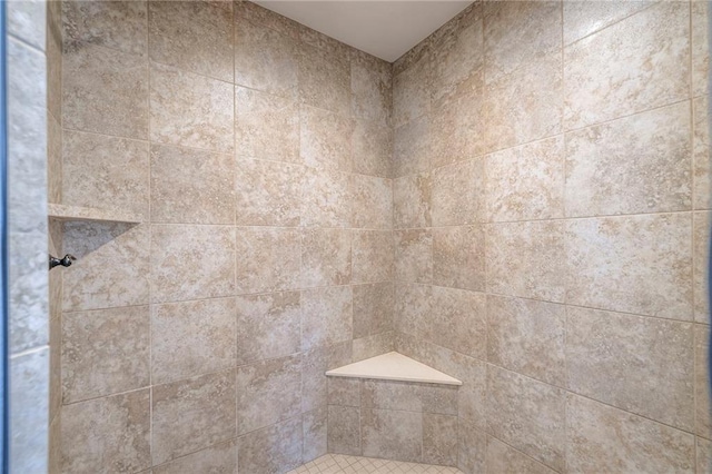17304 S Schweiger Dr, Olathe, KS 66062 - bathroom with a tile shower